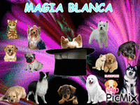 MAGIA BLANCA - GIF animasi gratis