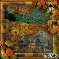 L'automne des oiseaux