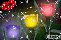 tulipananes ♥ ♥ - GIF animado gratis