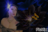 Lotus noir - Zdarma animovaný GIF