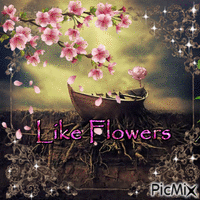 Like Flowers - Δωρεάν κινούμενο GIF