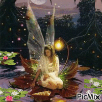 night fairy