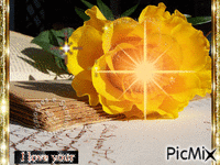 rosa com amor amarelas sobre a blibia saõ de revista Animated GIF