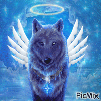 Blue Angel Wolf