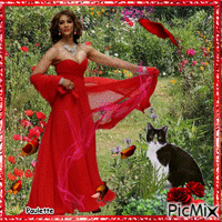 robe rouge - Δωρεάν κινούμενο GIF