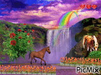 rainbow GIF animata