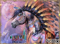 NATIVE AMERICAN HORSE - GIF animé gratuit