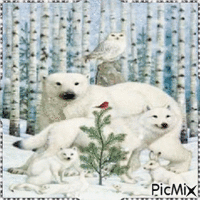 Animals in Snow - Ingyenes animált GIF