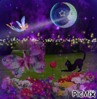 Concours "Fairy in the moonlight" - Ingyenes animált GIF