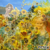 sunflower GIF animé
