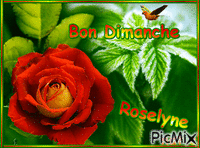 bon dimanche roselyne - GIF animé gratuit