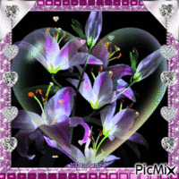 de si jolie fleur - Darmowy animowany GIF