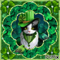 Saint-Patrick des chats - GIF animasi gratis