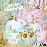 Hello Pumpkin! Gif Animado