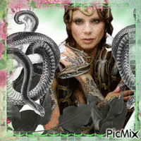 snakes GIF animé