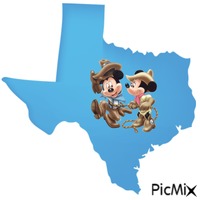 Texas Mickey and Minnie animowany gif