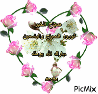 الورود الصباح والياسمين *  بارك الله يومك، animovaný GIF