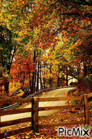 Autumn animovaný GIF