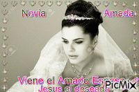 WEDDING Gif Animado