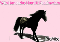 konik - 無料のアニメーション GIF