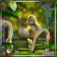 Nature portrait with birds Animated GIF