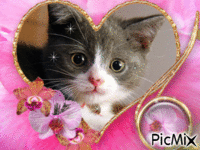 chaton dans un coeur fleuri - Безплатен анимиран GIF