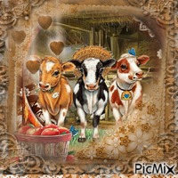 lovely cows GIF animé