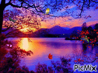 lake - 無料のアニメーション GIF