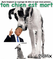 chien Animated GIF