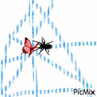 La toile d'araignee - GIF animado gratis
