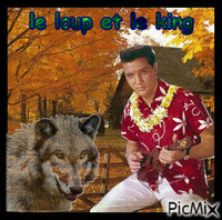 le loup et le king κινούμενο GIF