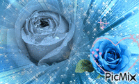 Rosa Azul - Бесплатный анимированный гифка