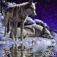 Lobos e a Neve Gif Animado