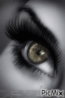 глаза - GIF animé gratuit