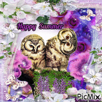 owl summer animovaný GIF