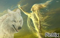 white wolf GIF animé