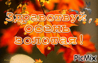 здравствуй осень золотая! - Ücretsiz animasyonlu GIF