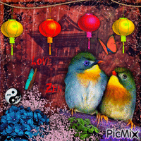 ✦ Love Zen Oiseaux - GIF animado grátis