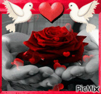 For you Friends animált GIF