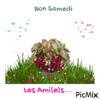 bon samedi - Безплатен анимиран GIF