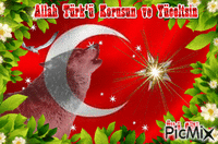 Allah Türkü Korusun - Бесплатный анимированный гифка