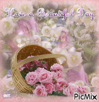 have a beautiful day,basket of roses