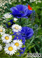Springflowers - Darmowy animowany GIF