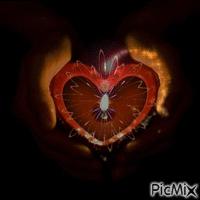 Light Heart - Zdarma animovaný GIF