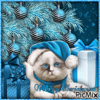 Christmas Cat-RM-11-17-23 - GIF animado grátis