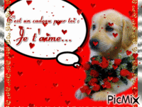 Bonne saint Valentin ! - Free animated GIF