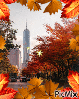 Fall in NYC  🙂 GIF animé