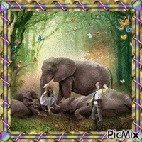 pamper the elephants animoitu GIF