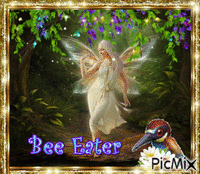 bee eater - Gratis animeret GIF