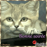 bonne soiree 24 01 animovaný GIF